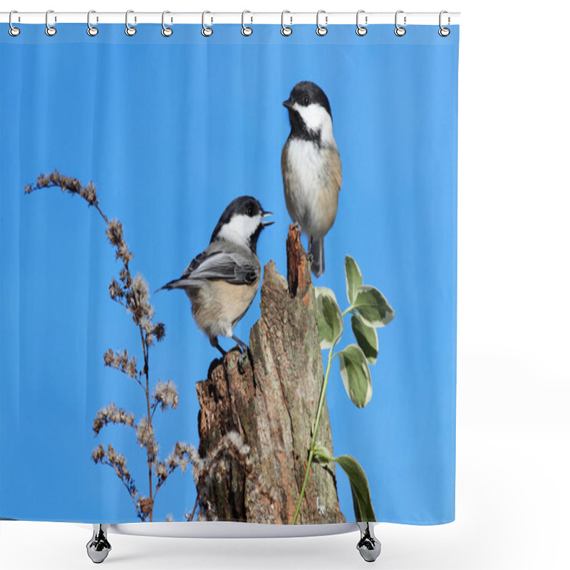 Personality  Pair Of Birds On A Log Shower Curtains