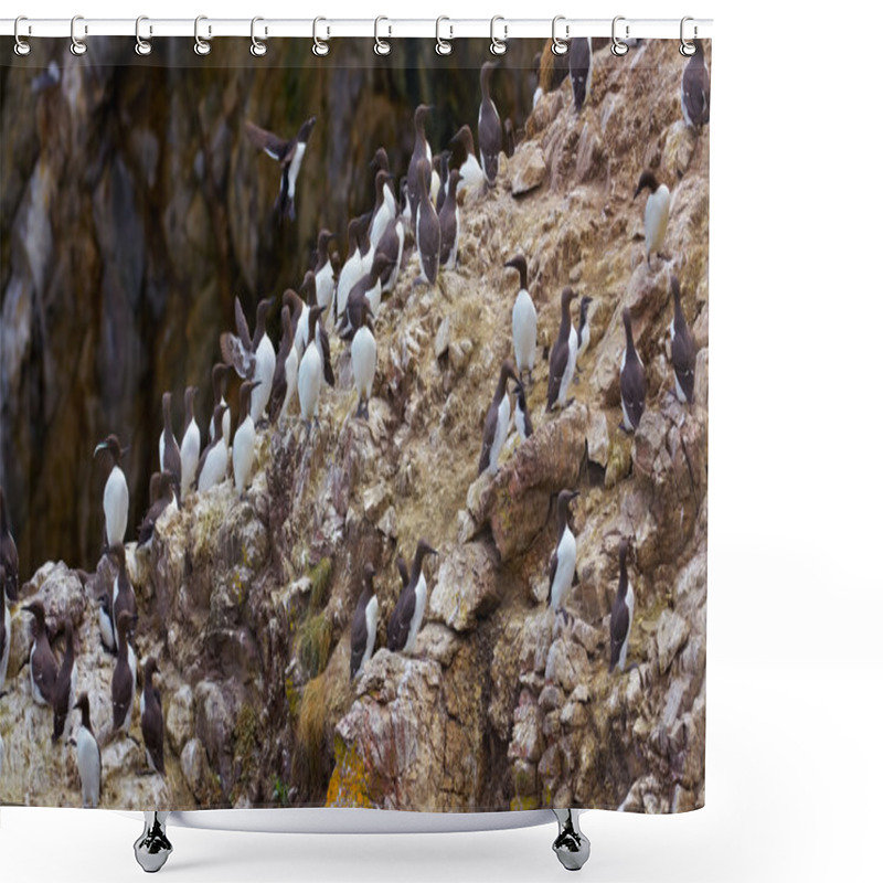 Personality  Common Murre Shower Curtains