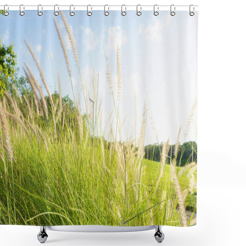 Personality  The Beauty Of The Natural Landscape. The Serene Vastness Of A Field Shower Curtains