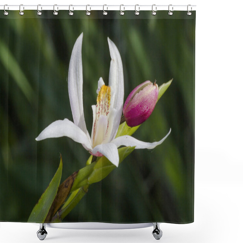 Personality  Flower In The Garden Shower Curtains