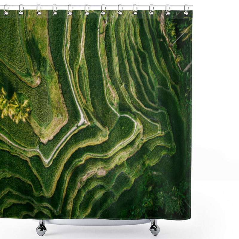 Personality  Drone View Of Rice Plantation In Bali With Path To Walk Around And Palms.Rice Terraces Photos From The Height, Bali, Indonesia, Ubud, The Geometry Of The Rice Field Shower Curtains