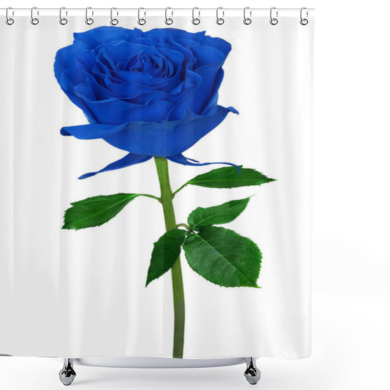 Personality  Beautiful Violet Rose Isolated On A White Background Shower Curtains