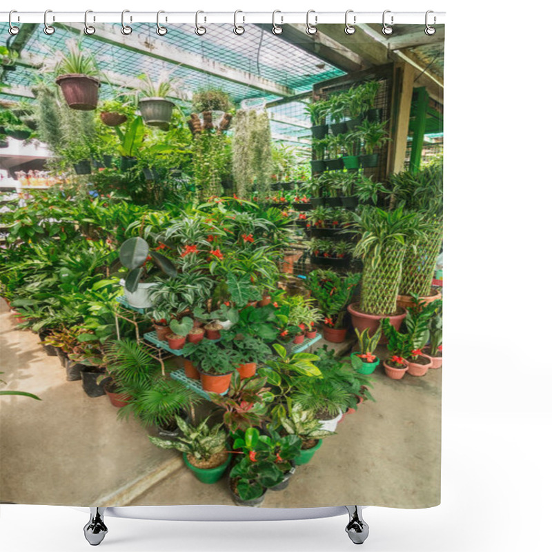 Personality  Beautiful Potted Ornamental Plants For Sale At Cartimar Market, Pasay, Metro Manila, Philippines. Shower Curtains