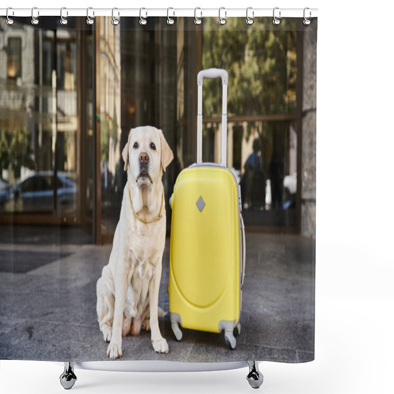 Personality  Cute Labrador Sitting Beside Yellow Luggage Near Entrance Of Pet Friendly Hotel, Travel Concept Shower Curtains