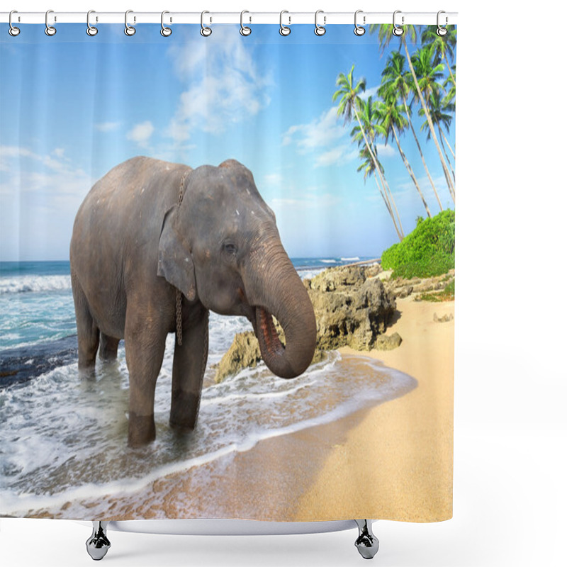 Personality  Elephant On The Beach Shower Curtains