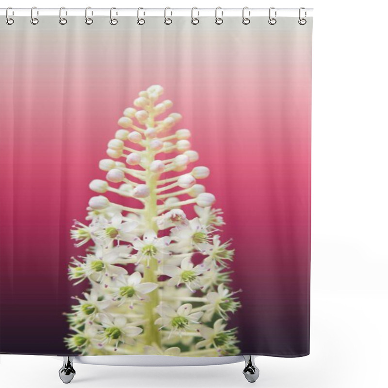 Personality  Delicate White Flower On A Soft Gradient Background Shower Curtains