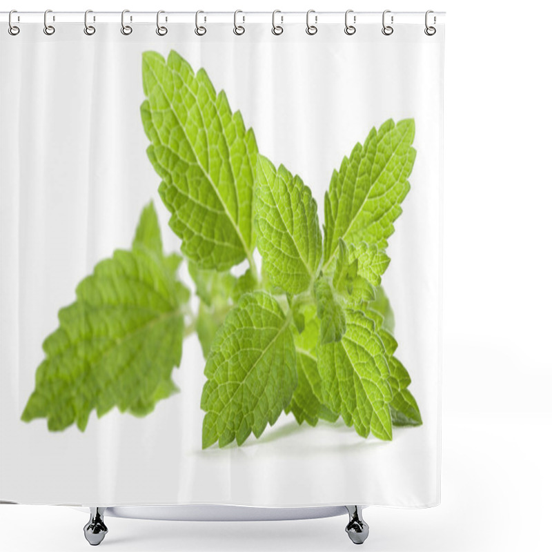 Personality  Lemon Balm Shower Curtains