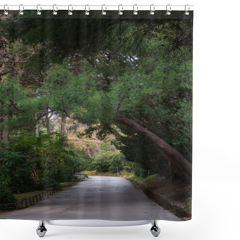 Personality  A Quiet Asphalt Road Winding Through A Lush Green Forest, Shaded By Tall Trees With Overhanging Branches, Creating A Serene Atmosphere.  Shower Curtains