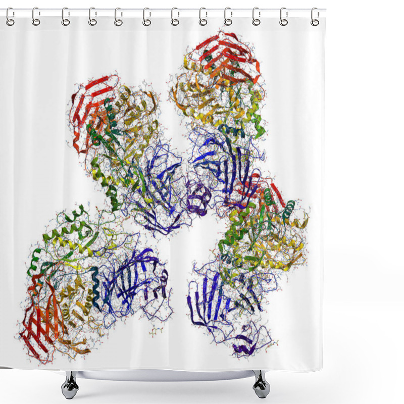 Personality  Sucrase-isomaltase Enzyme Structure Shower Curtains