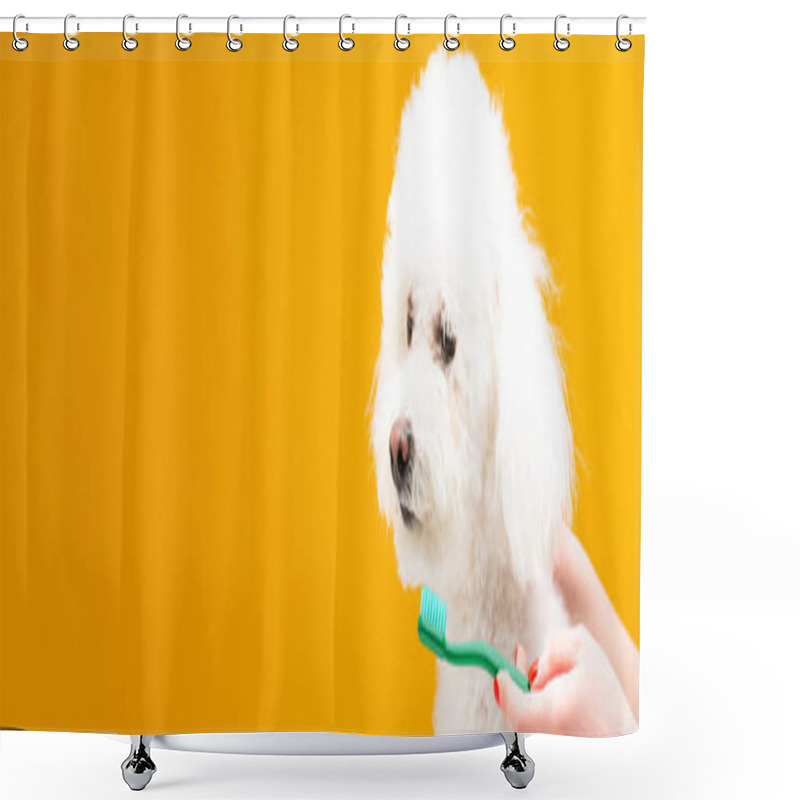 Personality  Cropped View Of Woman Holding Toothbrush Near Havanese Dog Isolated On Yellow, Panoramic Shot Shower Curtains