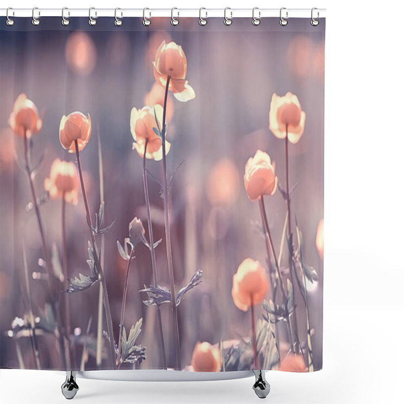 Personality  Vintage Background Little Flowers, Nature Beautiful, Toning Design Spring Nature, Sun Plants Shower Curtains