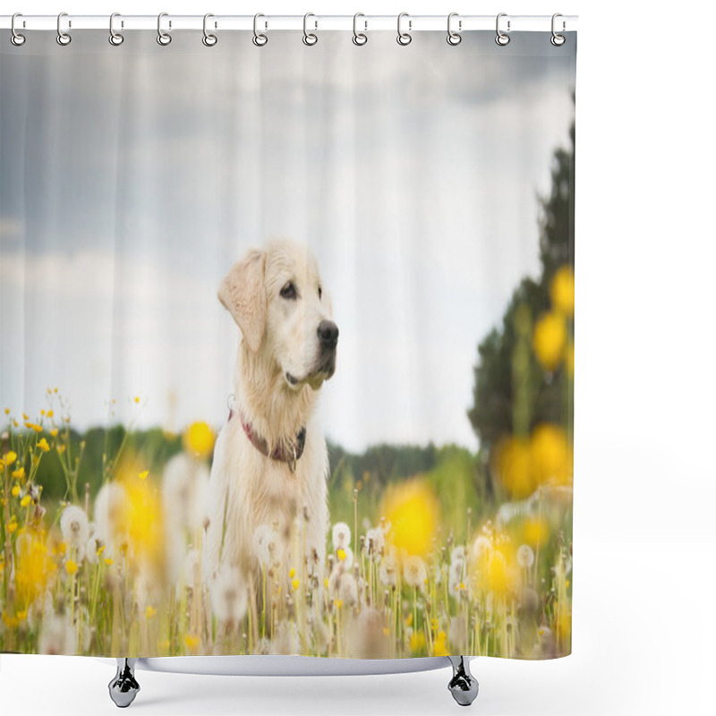 Personality  Golden Retriever In Flowers Shower Curtains