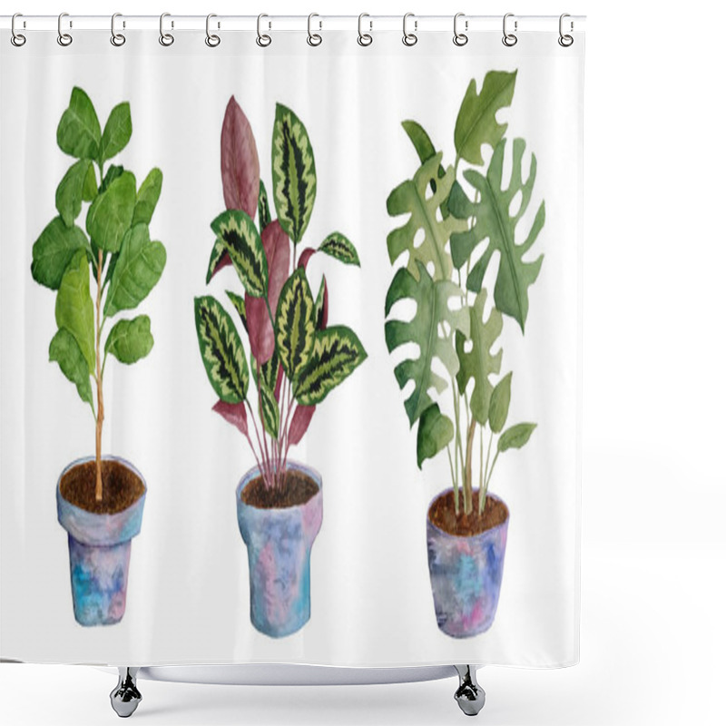 Personality  Watercolor Hand Drawn Illustration Elemens Of Potted Indoor Flowers. Monstera Ficus Fiddle Leaf Tree Prayer Plant Calathea. Green Foliage Grey Pink Soft Violet Pots Interior Design Urban Jungle Trendy Shower Curtains