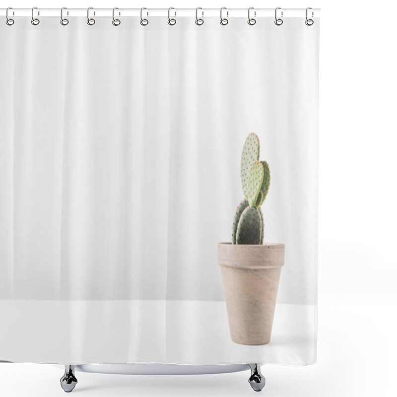 Personality  Beautiful Green Potted Cactus On White Shower Curtains