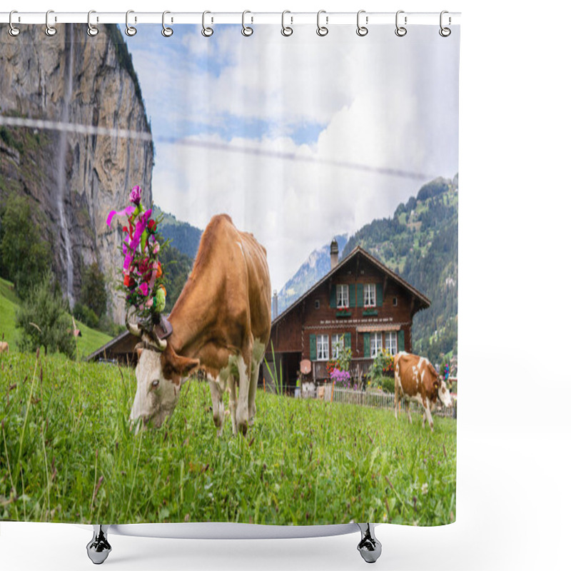 Personality  LAUTERBRUNNEN, SWITZERLAND - SEPTEMBER 23, 2023: Cows With Floral Ceremonial Decorations Grazing In Front Or Old Farm House With Swiss Alps On The Background. Shower Curtains