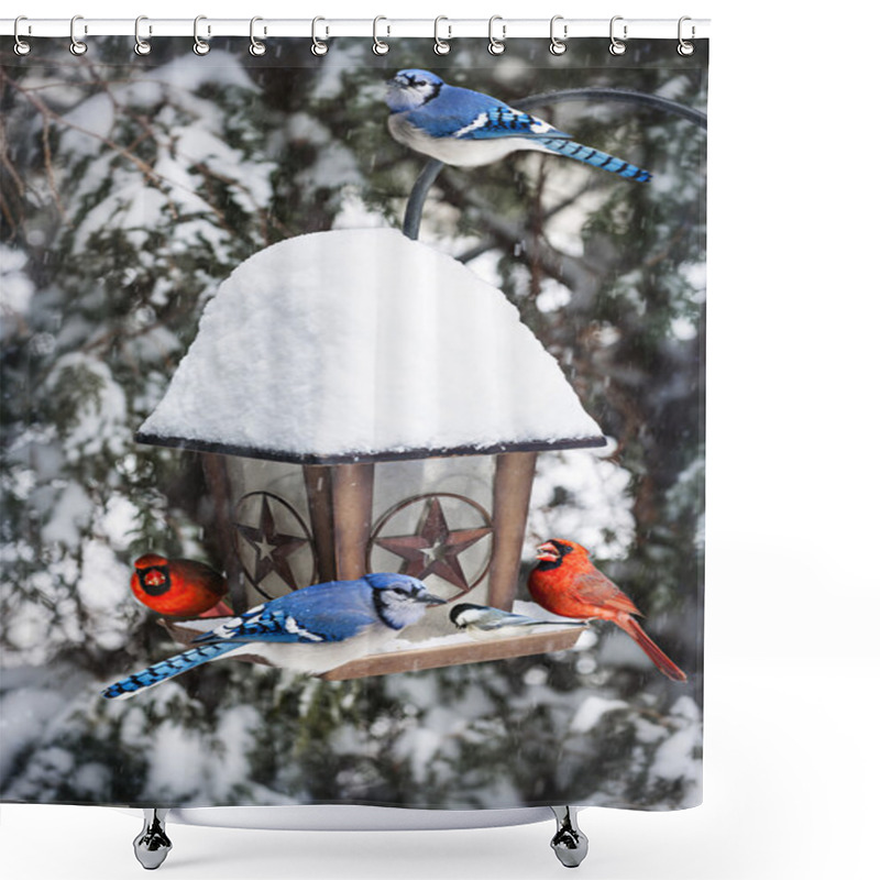 Personality  Birds On Bird Feeder In Winter Shower Curtains