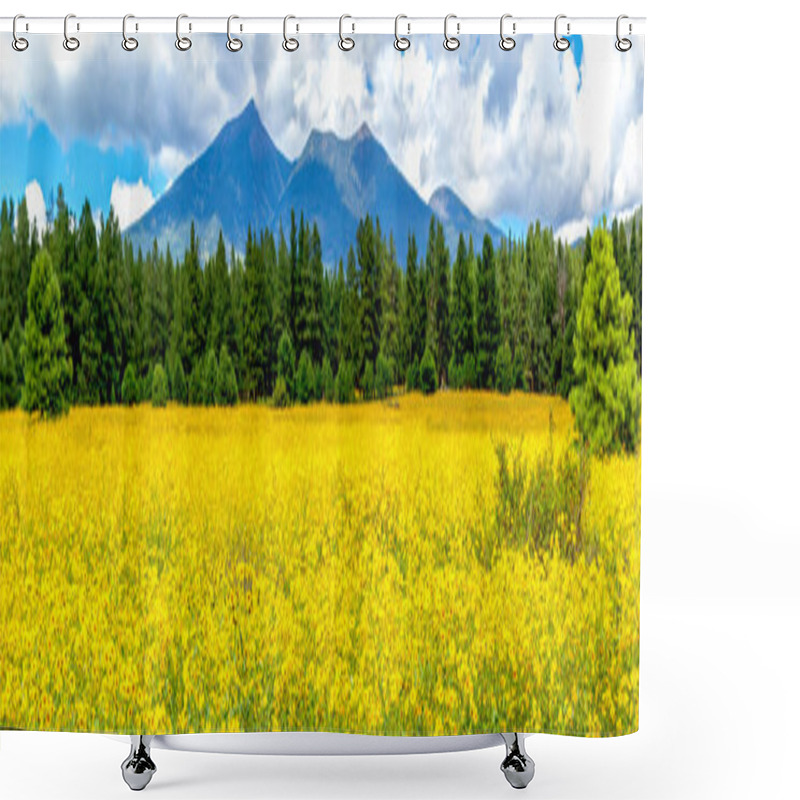 Personality  Flowers And Mountains. Panoramic Image Of A Field Of Mexican Sunflowers In Flagstaff, Arizona. Fort Valley Flower Field, Covered In Wildflowers With San Francisco Peaks In The Background.  Shower Curtains