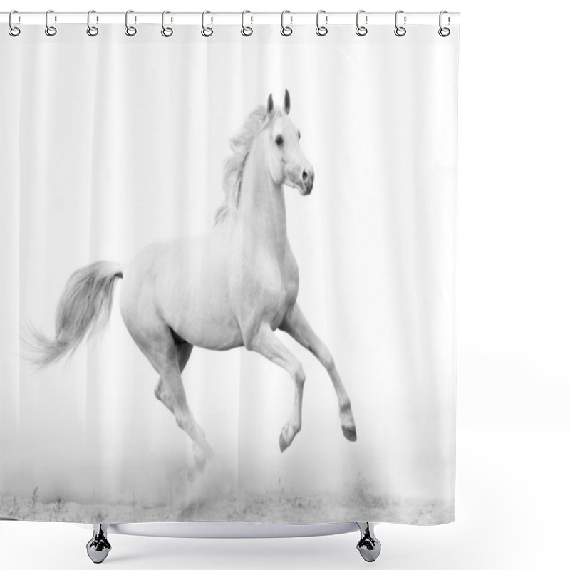 Personality  White Stallion Shower Curtains