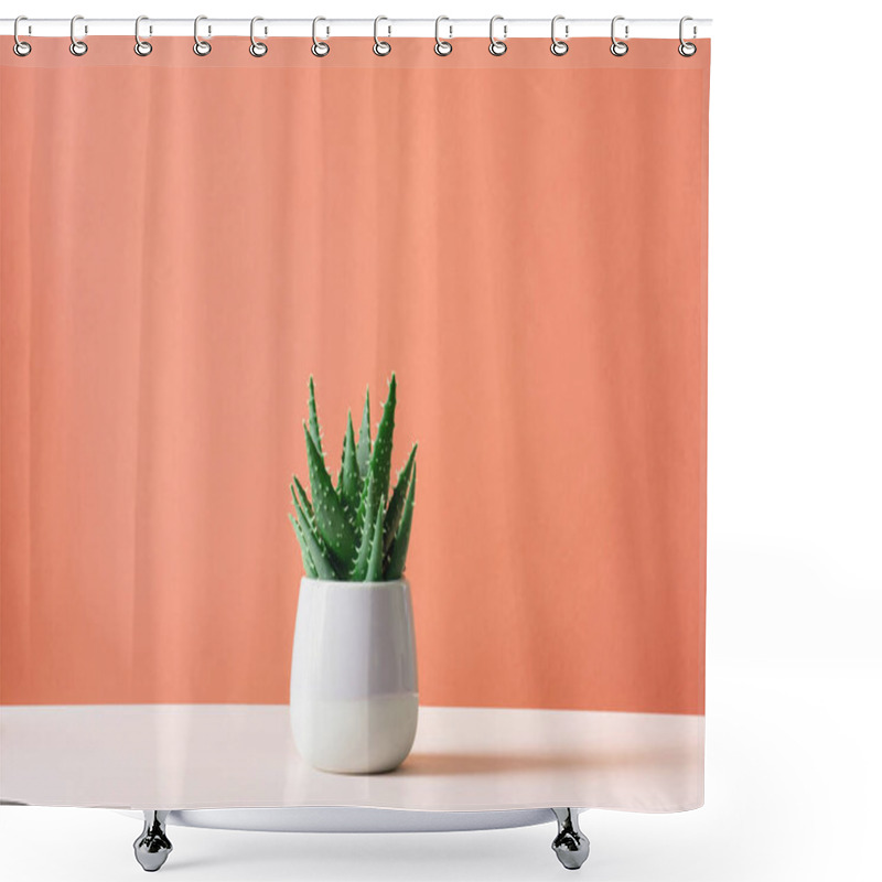 Personality  Aloe Cactus On Pastel Background Succulent Plant In Pot Copy Space Minimal Summer Still Life Concept Shower Curtains