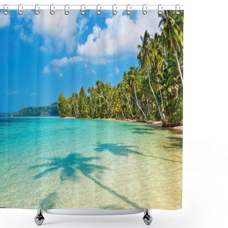 Personality  Coconut Palms On The Beach Shower Curtains