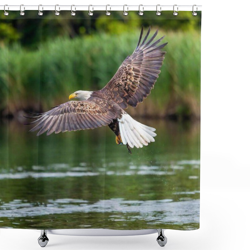 Personality  An Eagle Diving Towards A River To Catch A Fish Shower Curtains