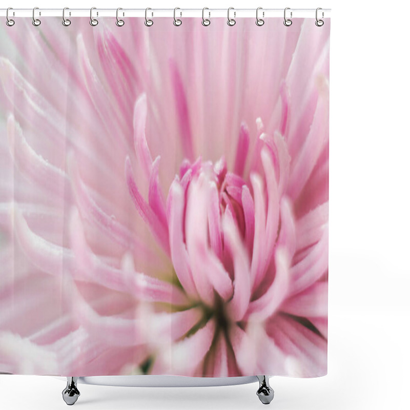 Personality  Beautiful Fresh Delicate Flowers In The Morning In The Sun Shower Curtains