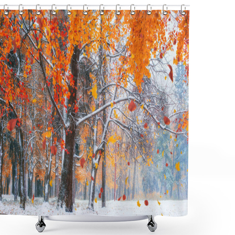 Personality  Sunlight Breaks Through The Autumn Leaves Of The Trees In The Early Days Of Winter Shower Curtains