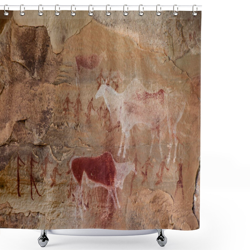 Personality  South African Bushman Rock Art 10 Shower Curtains