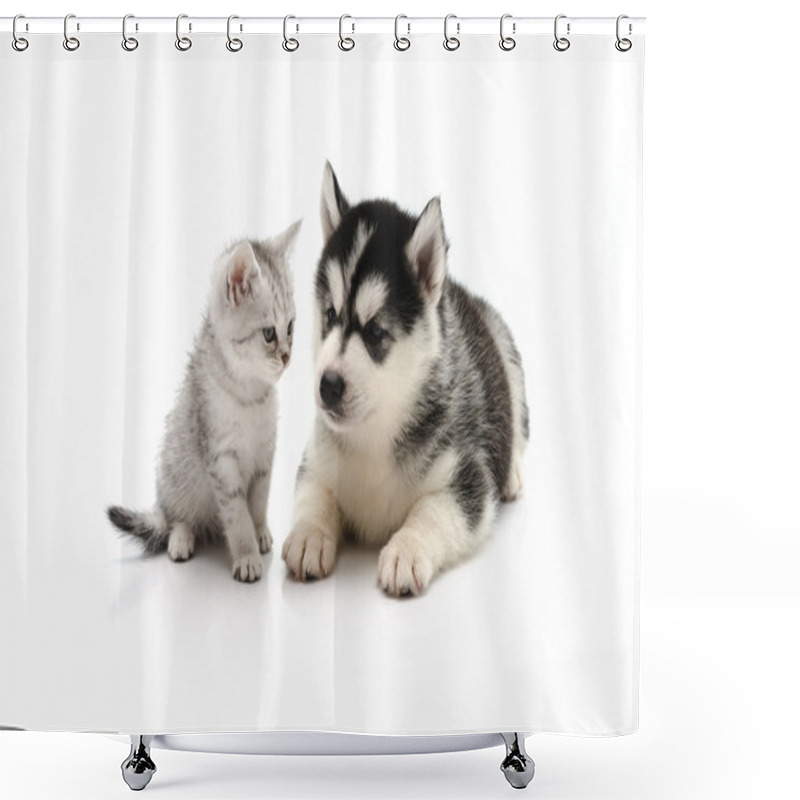 Personality  Cute Kitten And Puppy On White Background  Shower Curtains