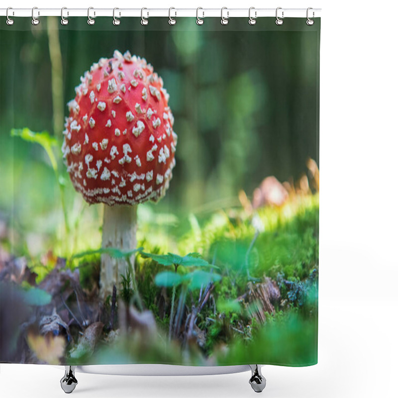 Personality  Fly Agaric (Amanita Muscaria) Poisonous Mushroom In The Forest Shower Curtains