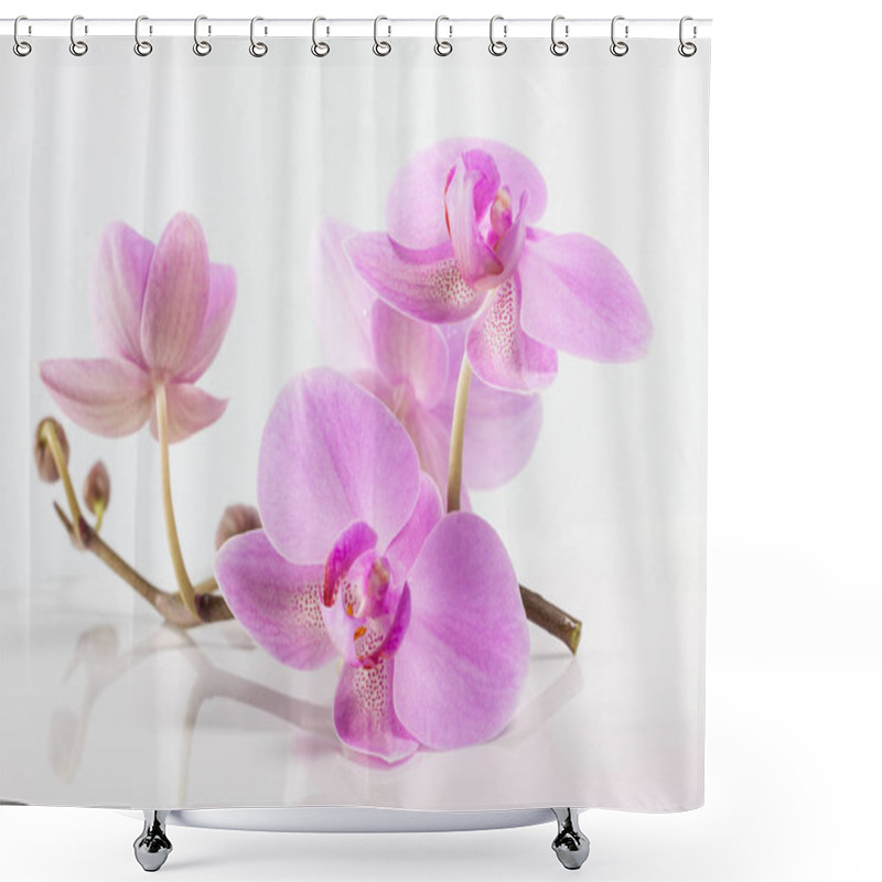 Personality  Orchid Flowers. Spa. Beautiful Floral Background Shower Curtains