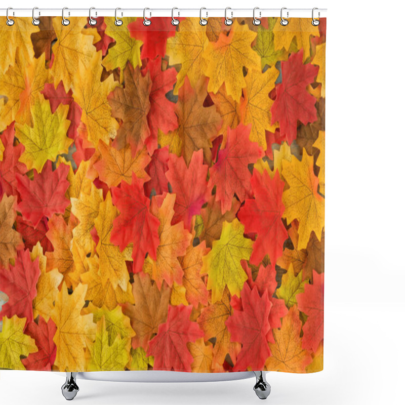 Personality  Beautiful Autumn Maple Leaves Background. Nature Fall Season Shower Curtains