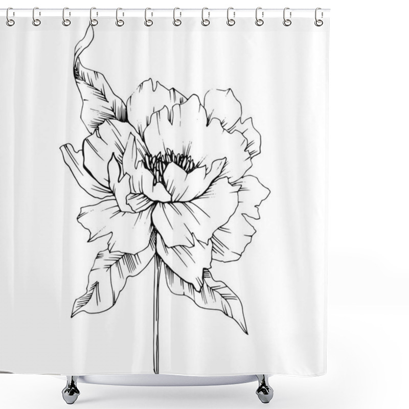 Personality  Vector Peony Floral Botanical Flower. Wild Spring Leaf Wildflower Isolated. Black And White Engraved Ink Art. Isolated Peony Illustration Element. Shower Curtains