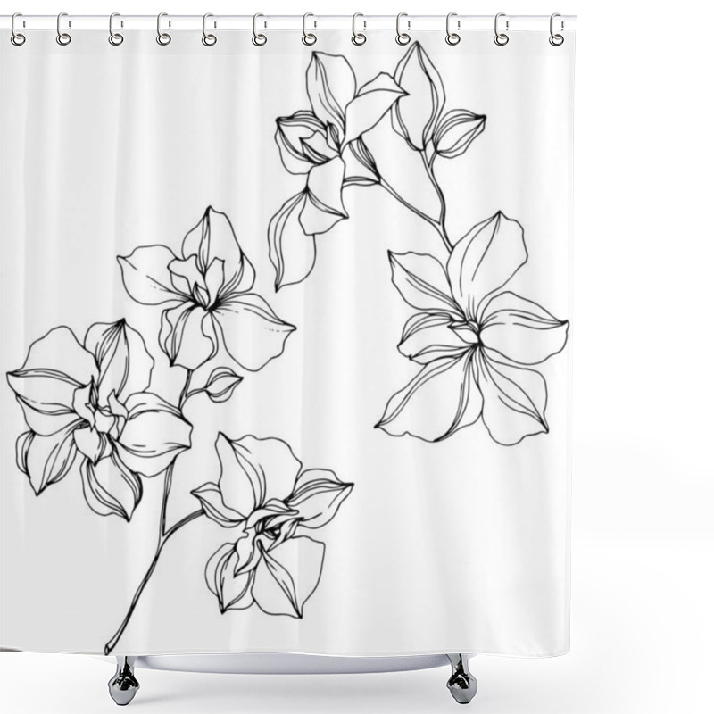 Personality  Vector Black Orchid Flowers Isolated On White. Engraved Ink Art.  Shower Curtains