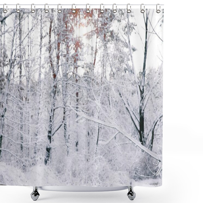 Personality  Beautiful Trees Covered With Snow In Forest Shower Curtains