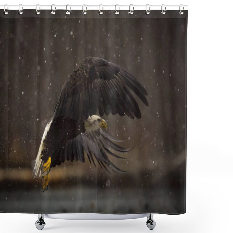 Personality  A Bald Eagle Taking Off In A Snow Storm On A Cold Winter Morning  Shower Curtains