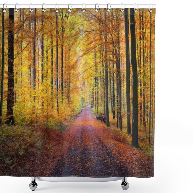 Personality  A Single Lane Rural Road Through The Golden Beech Trees. Forest Floor Of Green, Orange And Yellow Leaves. Mysterious Light Through The Tree Trunks. Environmental Conservation In Heidelberg, Germany Shower Curtains