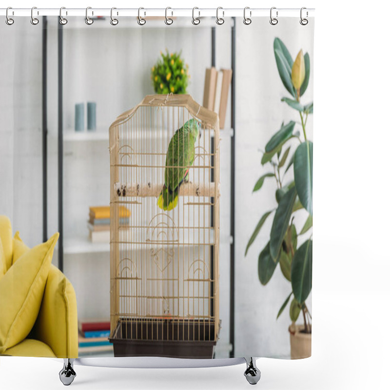 Personality  Green Parrot In Bird Cage Near Green Ficus And Rack In Living Room Shower Curtains