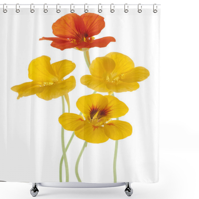 Personality  Nasturtium Shower Curtains