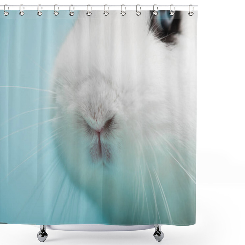 Personality  Closeup Of Cute White Rabbit With Funny Nose On Blue Background Shower Curtains