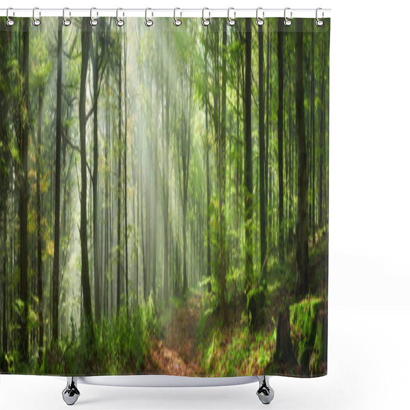 Personality  Enchanting Rays Of Sunlight In A Green Forest. A Mix Of Sunshine And Light Fog Create A Magical Atmosphere In This Panoramic Nature Shot. Shower Curtains