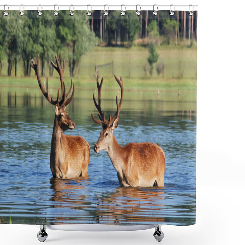 Personality  Deer Shower Curtains