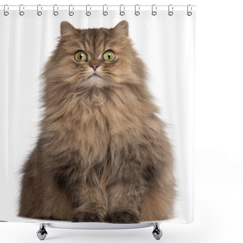 Personality  Persian Cat, 6 Years Old, In Front Of White Background Shower Curtains