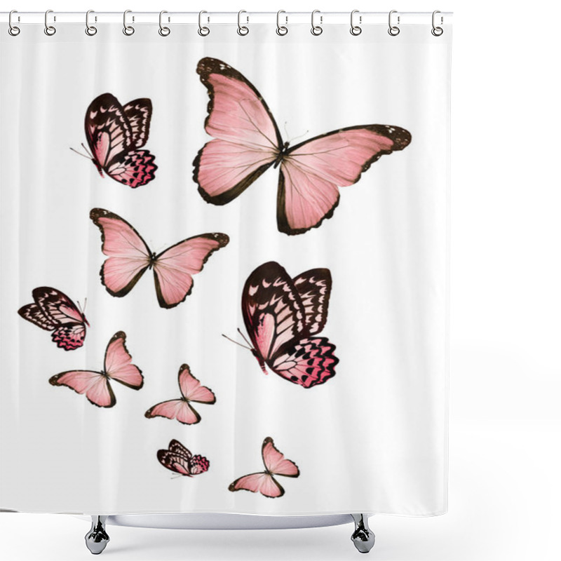 Personality  Flock Of Flying Butterflies Isolated On White Shower Curtains