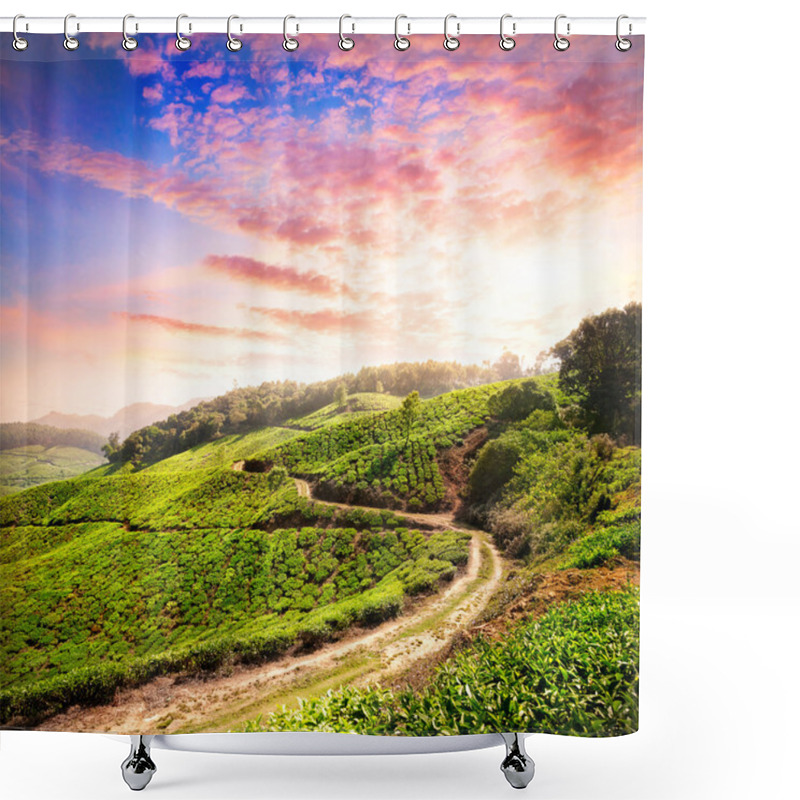 Personality  Tea Plantation In Munnar Shower Curtains