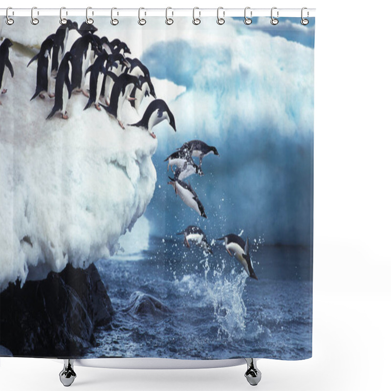 Personality  Adelie Penguin, Pygoscelis Adeliae, Group Leaping Into Ocean, Paulet Island In Antarctica     Shower Curtains