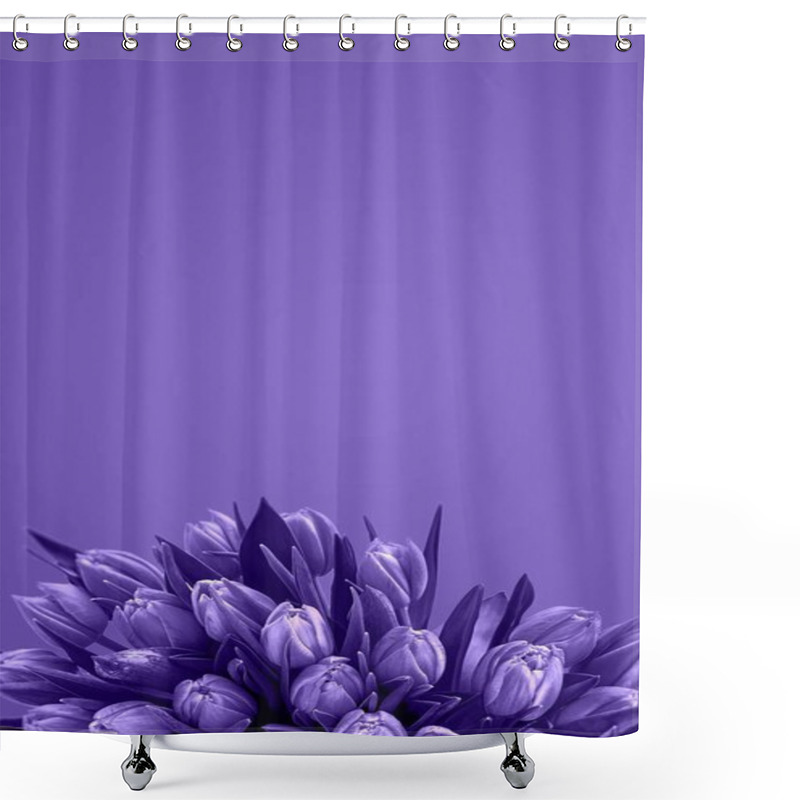 Personality  Tulips Flower Card. Fresh Spring Flowers With Water Drops. Floral Backdrop Shower Curtains