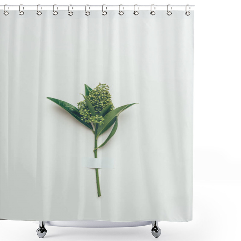 Personality  Beautiful Tender Flower Buds With Green Leaves On Grey Shower Curtains