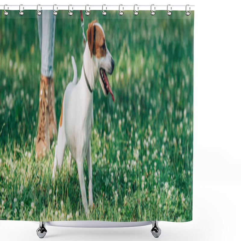 Personality  Website Header Of Jack Russell Terrier Standing Near Woman On Grass With Flowers  Shower Curtains