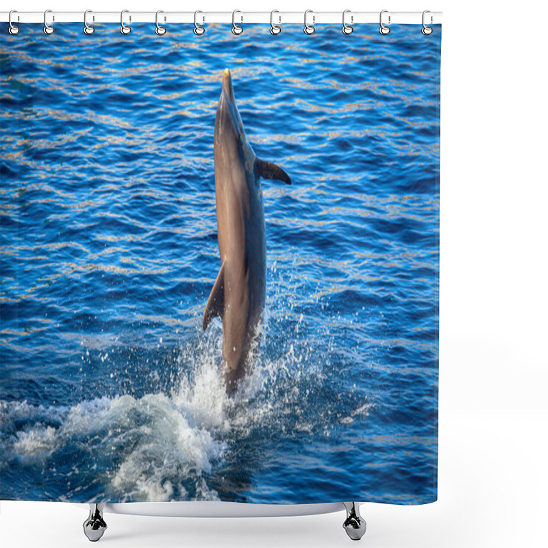 Personality  Jumping Dolphin In Blue Sea Water  Shower Curtains